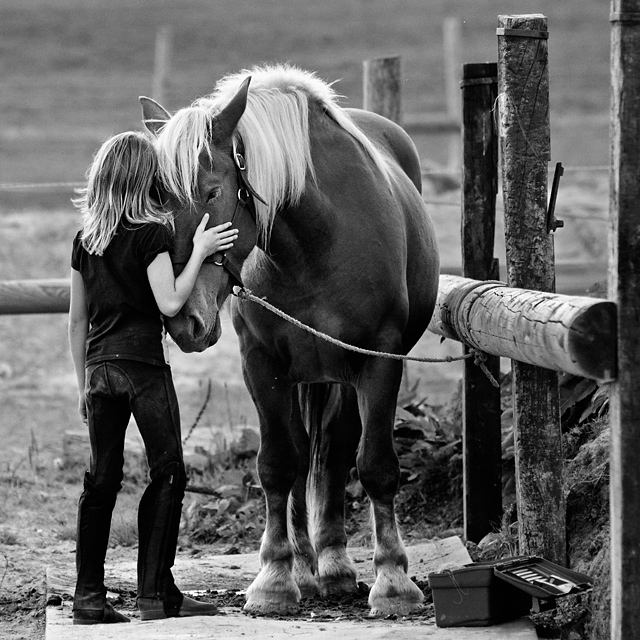 20130427150858_mercredi_square 20130427150858_mercredi_square