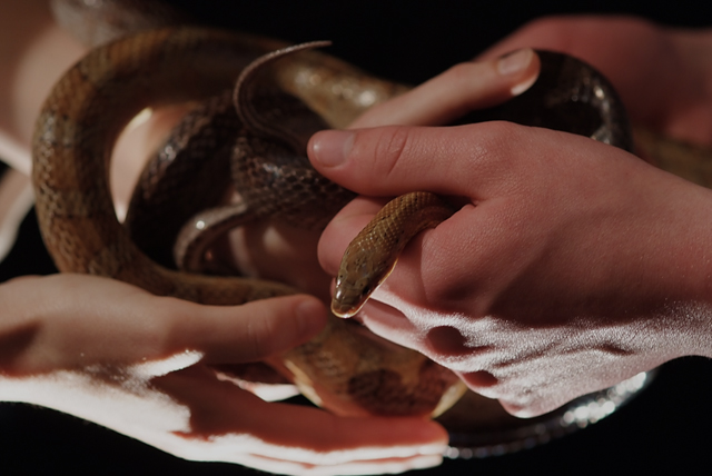 20130428005039_dscf5390 20130428005039_dscf5390