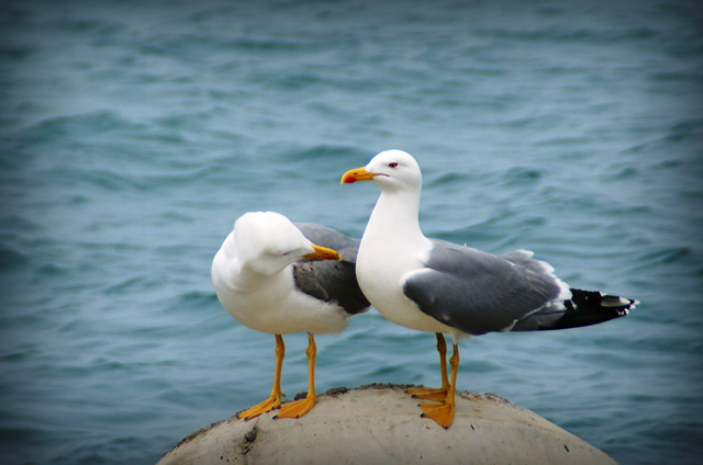 20130428183253_guday2 20130428183253_guday2