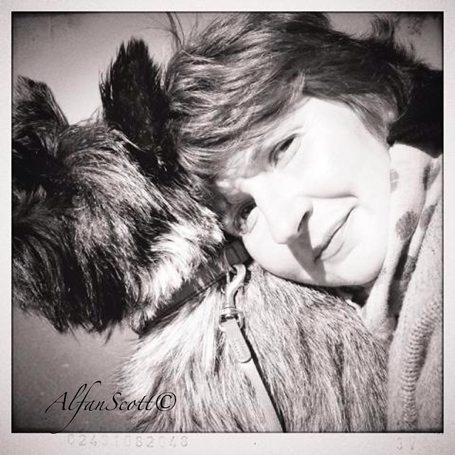 20130427205303_image 20130427205303_image