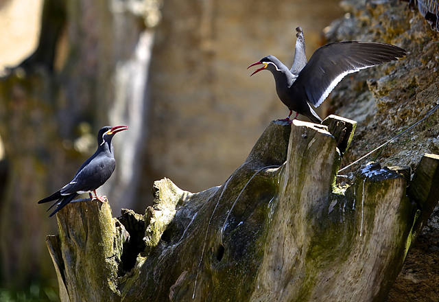 20130429102723_discution_de_couple 20130429102723_discution_de_couple