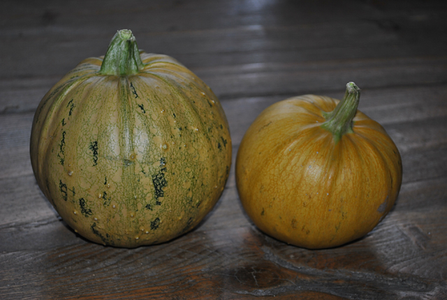 20130429225256_dsc_0101 20130429225256_dsc_0101