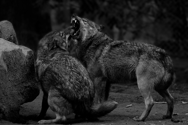 20130429191459_leviathan 20130429191459_leviathan