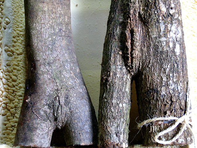 20130430203941_2010_0122severstnerbis0019___copie 20130430203941_2010_0122severstnerbis0019___copie