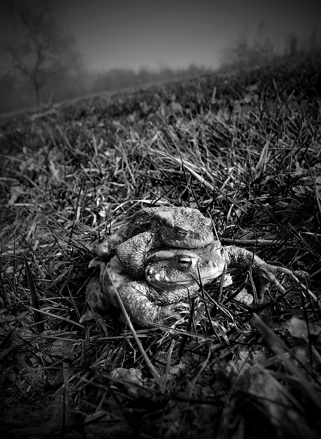 20130507180206_accrochestoi_bacrot 20130507180206_accrochestoi_bacrot