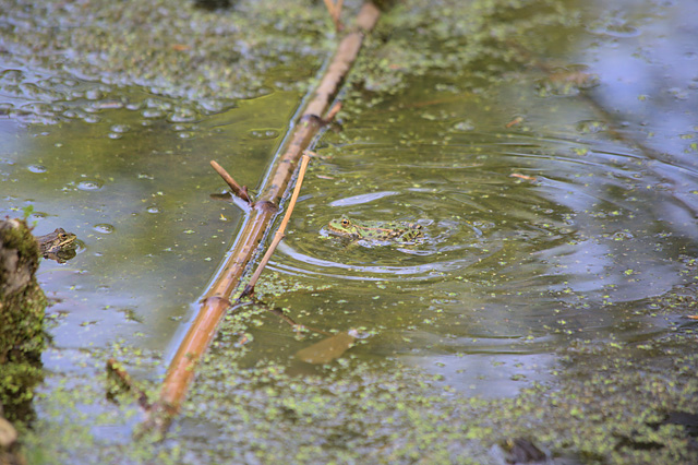 20130508172230_093__1 20130508172230_093__1