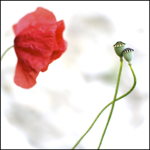 20130508203840_flirt 20130508203840_flirt