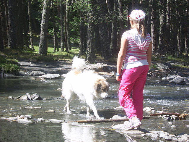 20130509172452_sv105892 20130509172452_sv105892