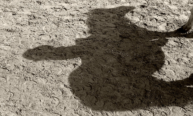 20130510092818_n_etre_plus_qu_un 20130510092818_n_etre_plus_qu_un