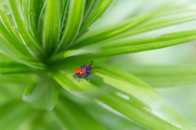 20130510114522_salvi___concours_huis_clos 20130510114522_salvi___concours_huis_clos