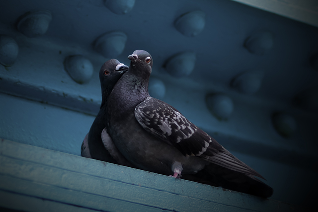 20130510121638_london17_552_x_competence_photo 20130510121638_london17_552_x_competence_photo