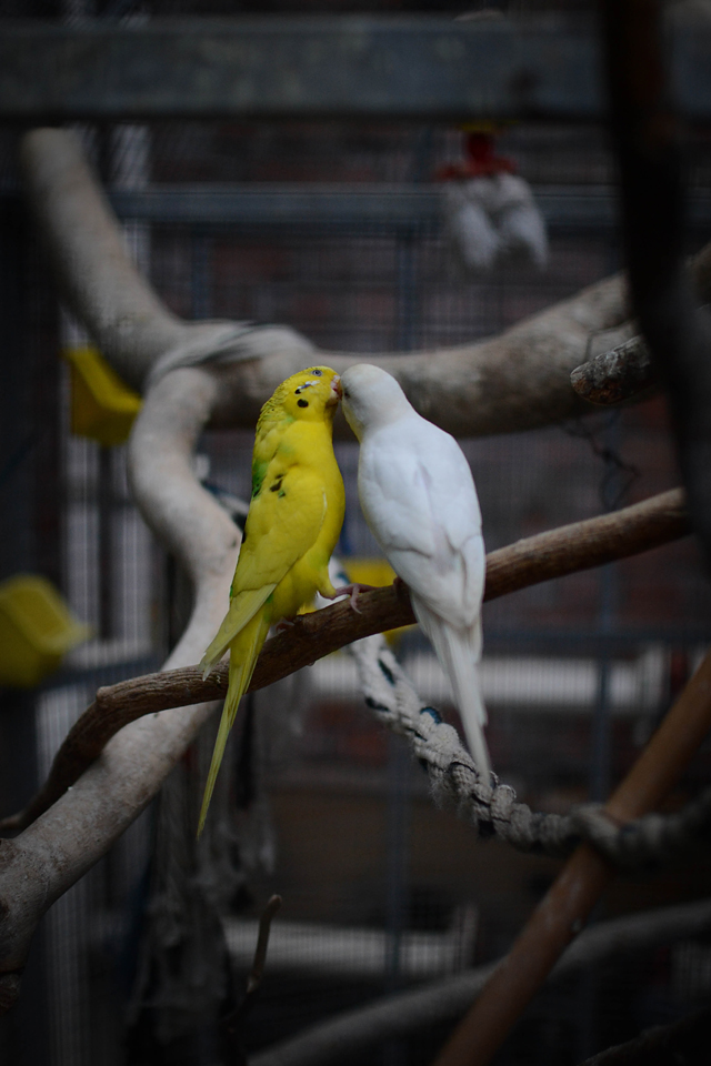 20130510135725_dsc_0519 20130510135725_dsc_0519