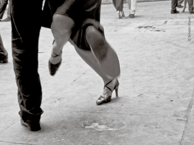 20130515143802_tango_pour_4_pieds 20130515143802_tango_pour_4_pieds