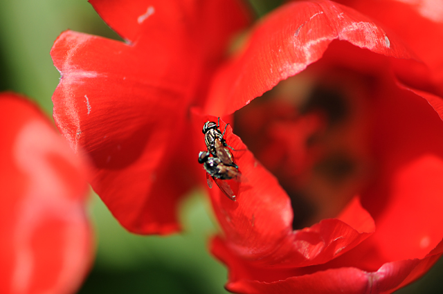 20130515161532_dsc_1847.jpgbis 20130515161532_dsc_1847.jpgbis