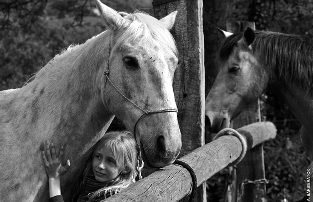 20130515130816_092_copie 20130515130816_092_copie