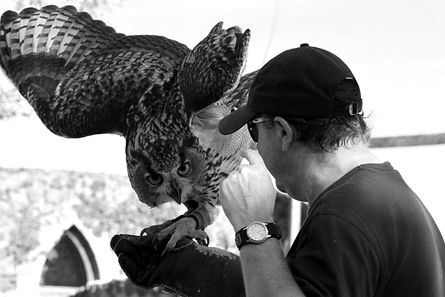 20130517211336_couple_huis_clos_hibou 20130517211336_couple_huis_clos_hibou