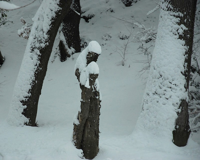 20130520125426_joseph_et_marie___ 20130520125426_joseph_et_marie___