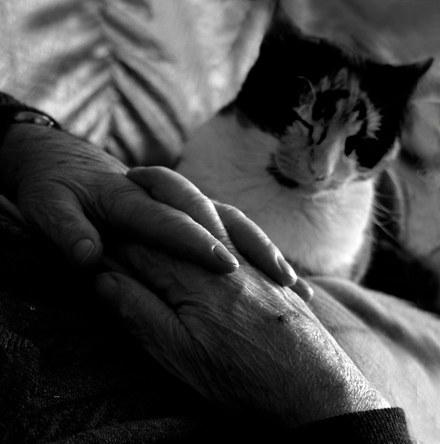 20130520115015_sieste 20130520115015_sieste