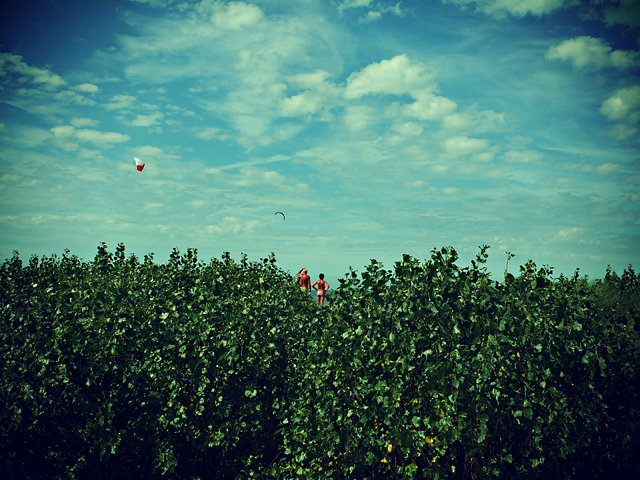 20130520214837_enfance_des_grands 20130520214837_enfance_des_grands