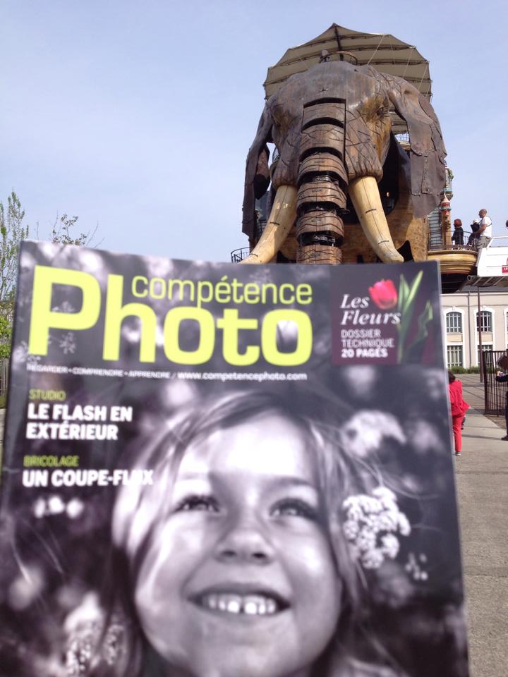 David Leonard - Afrique nantaise David Leonard - Afrique nantaise