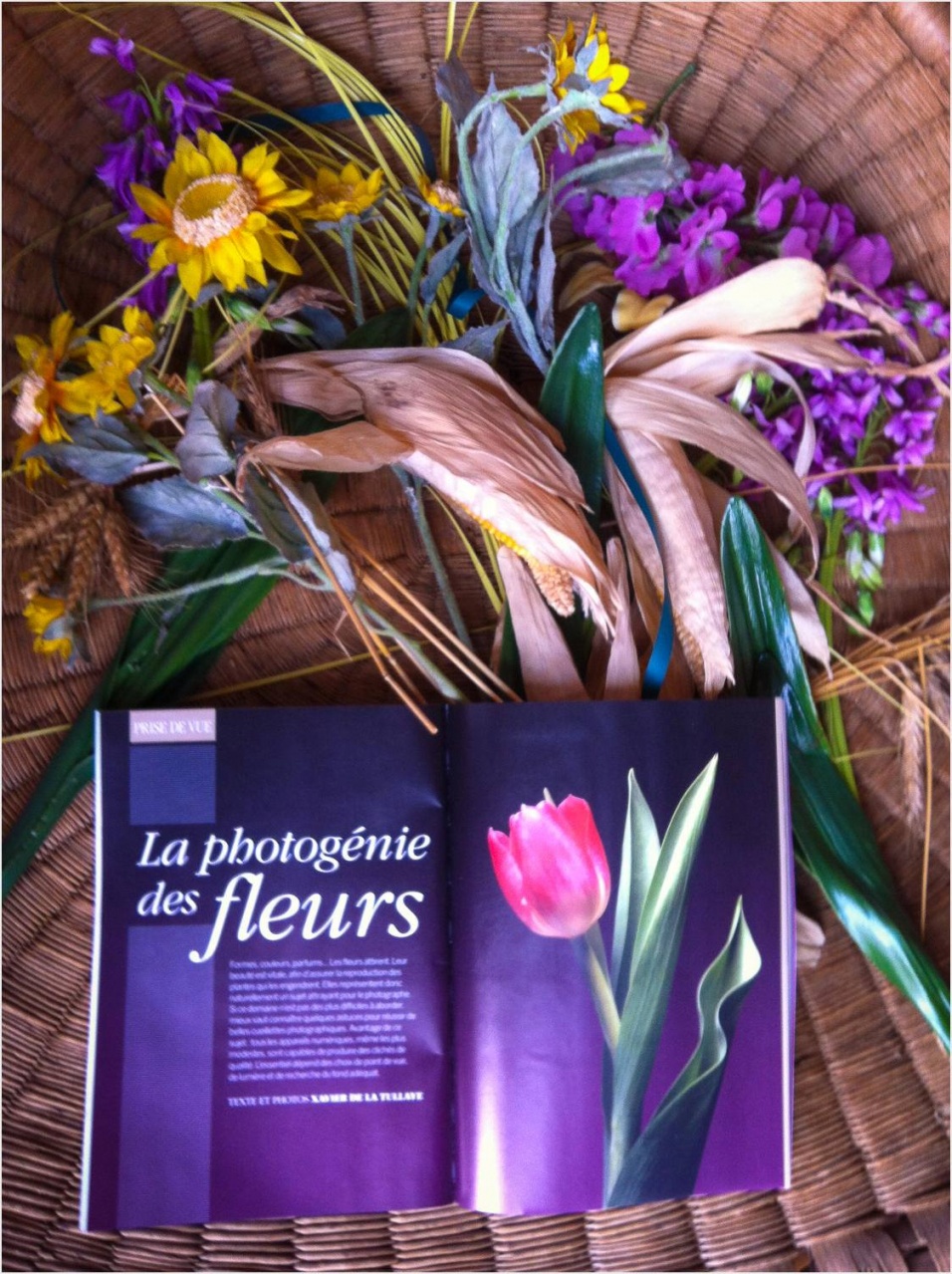 Arnaud Ortega - Thonon Les Bains Arnaud Ortega - Thonon Les Bains