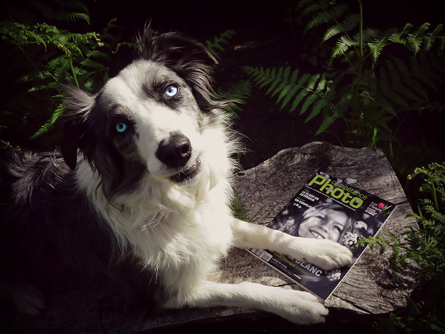 Isabelle Lucas-Gallay - Saint Jean d'Illac Isabelle Lucas-Gallay - Saint Jean d'Illac