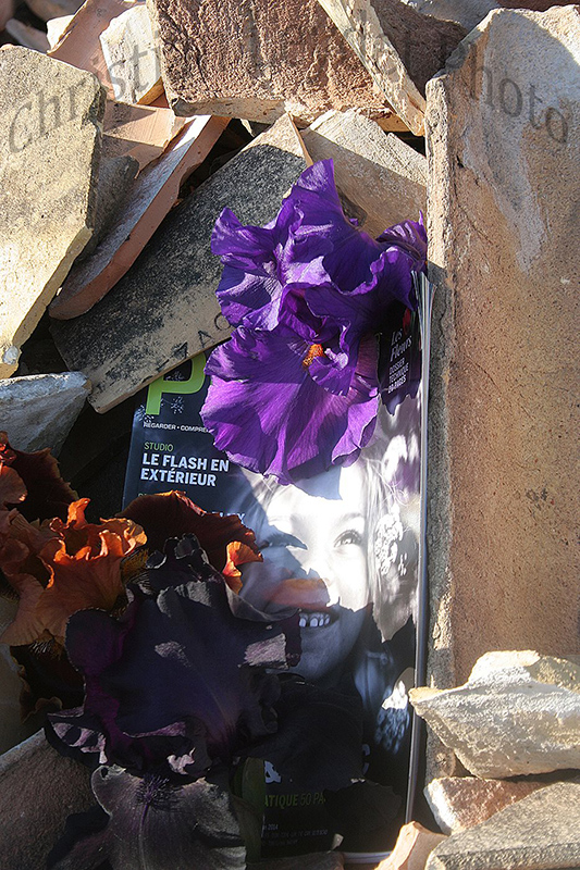 Christian Leydet - Bordeaux Christian Leydet - Bordeaux