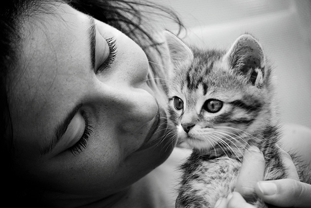 20150911233043_tendresse_feline 20150911233043_tendresse_feline