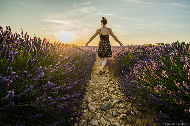 20150912230720_dsc_9979 20150912230720_dsc_9979