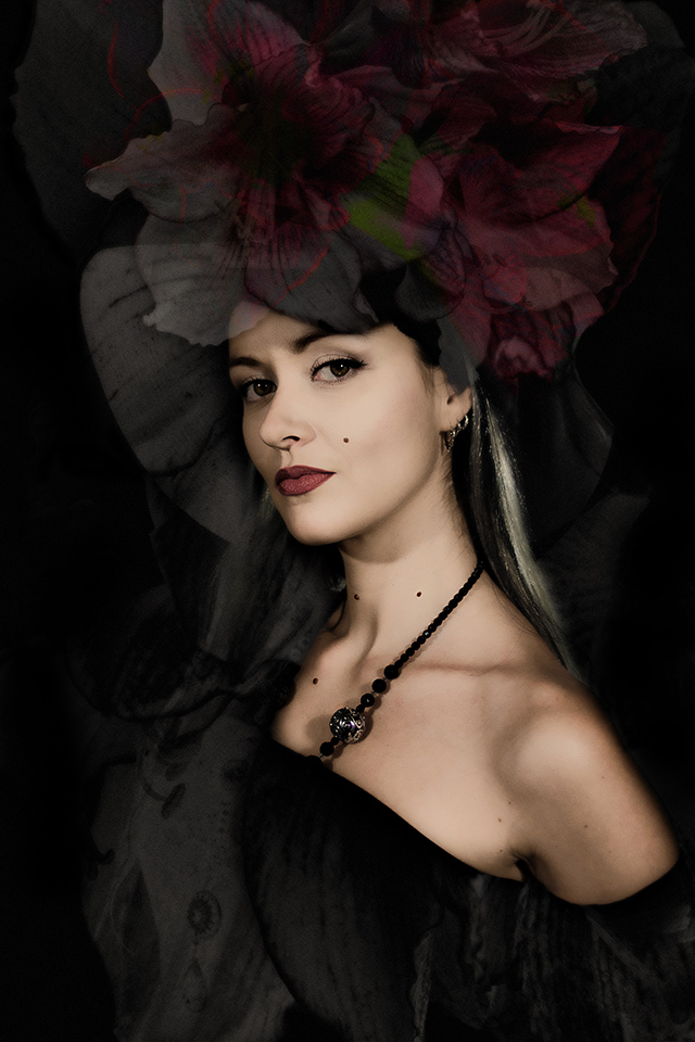 20150913153349_haeuw_le_fier_hibiscus 20150913153349_haeuw_le_fier_hibiscus