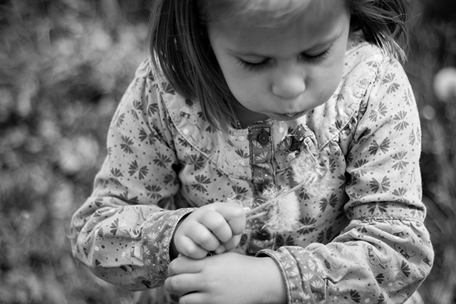 20150914140322_img_3533 20150914140322_img_3533