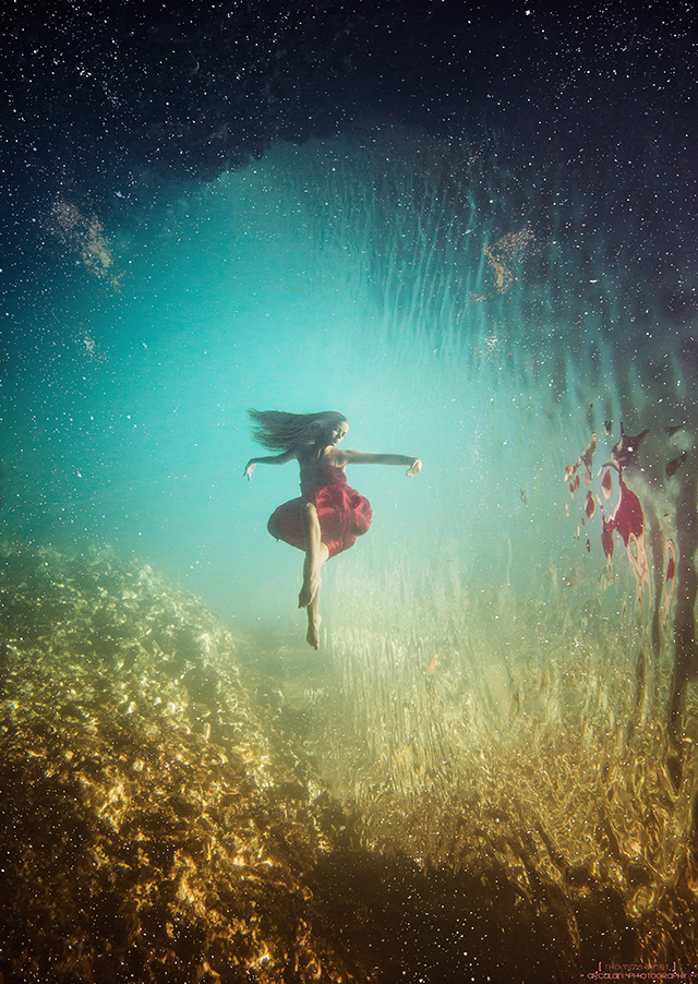 20150915003147_elisa_point_y_3 20150915003147_elisa_point_y_3