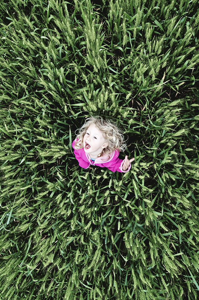 20150916094851_mauvaise_graine_pruniauxj_cp 20150916094851_mauvaise_graine_pruniauxj_cp