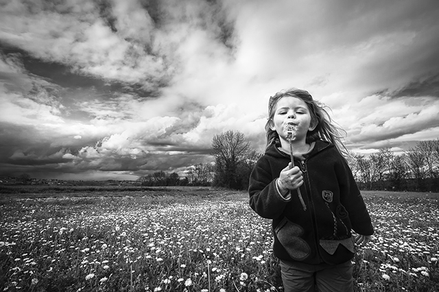 20150919115056__mg_6640_modifier_modifier 20150919115056__mg_6640_modifier_modifier