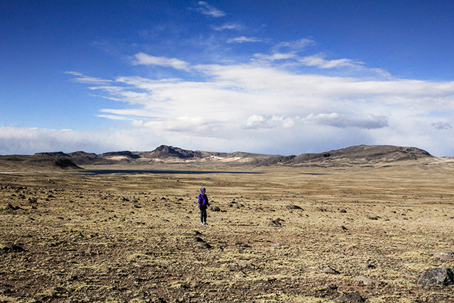 20150917160812_img_6925_bonne_2_2_2 20150917160812_img_6925_bonne_2_2_2