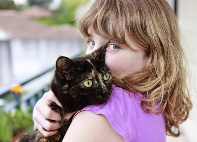 20150924174934__mg_5599 20150924174934__mg_5599