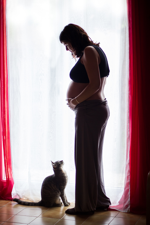 20150925085233_24_fevrier_2013_img_0091_240213 20150925085233_24_fevrier_2013_img_0091_240213