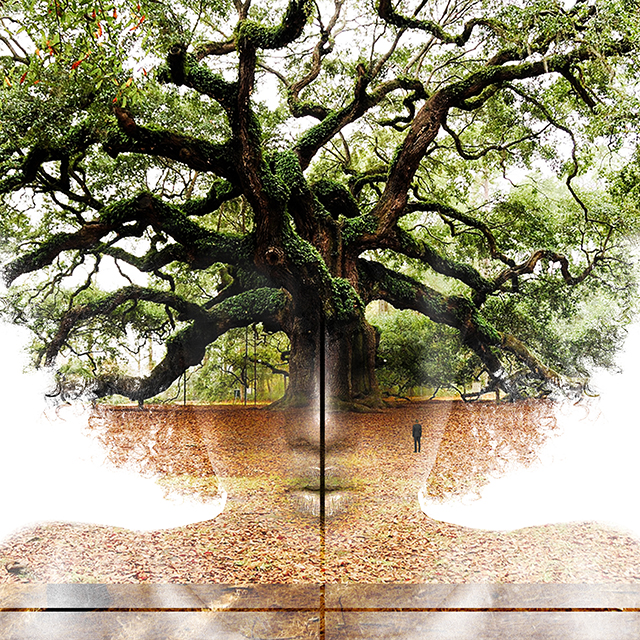 20151005101251_gaia 20151005101251_gaia