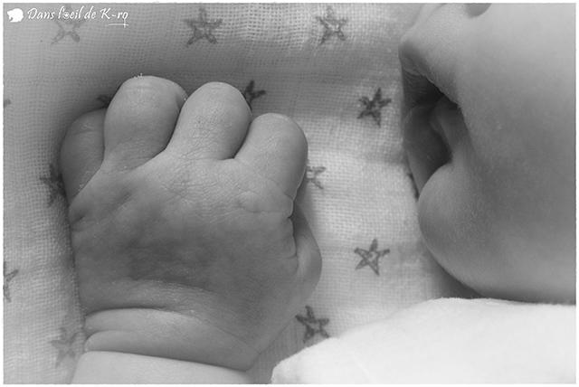 20151009102138_img_8016 20151009102138_img_8016