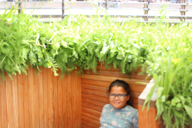 20151012233255_1671 20151012233255_1671