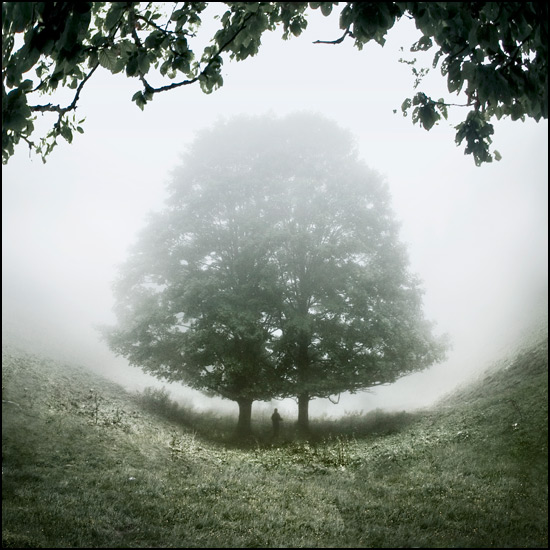 Ce que voit l'être - Nico Biron Ce que voit l'être - Nico Biron