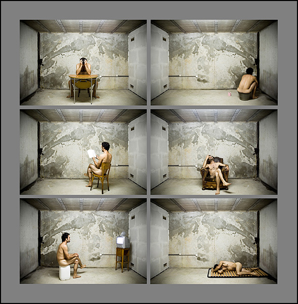 Espèce protégée - Frédéric Roch Espèce protégée - Frédéric Roch