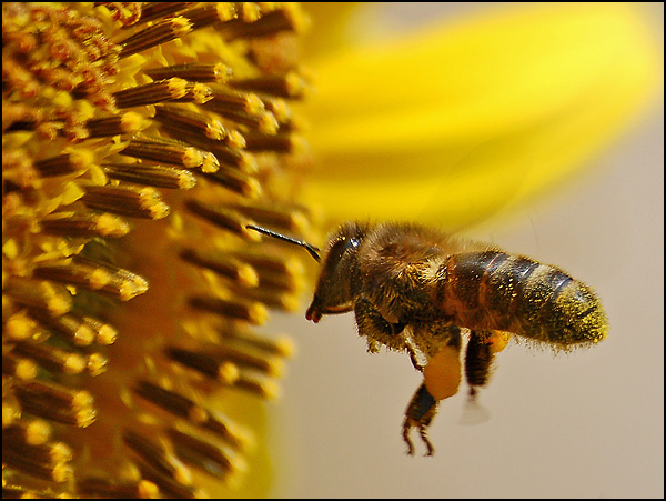 En l'air... - Nora Herbots En l'air... - Nora Herbots