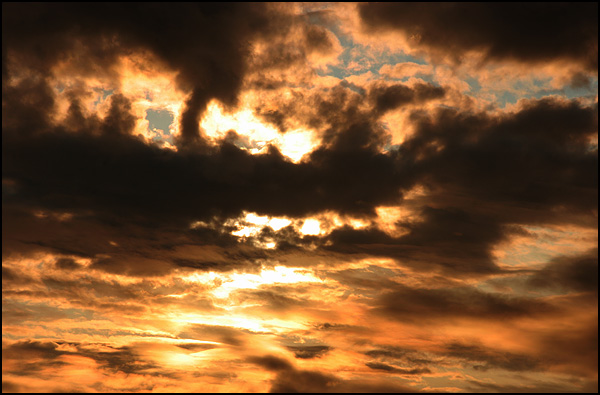 Liberté d'action - Pascal Piette Liberté d'action - Pascal Piette