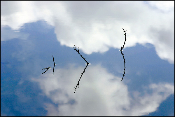 L'air de l'eau - Aude Tachker Quinet L'air de l'eau - Aude Tachker Quinet