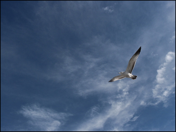 L'air d'automne - Tedy Colombini L'air d'automne - Tedy Colombini