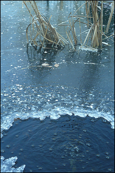 L'air s'échappe - Auréline Lépissier L'air s'échappe - Auréline Lépissier