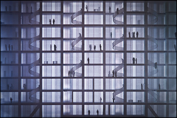 "..." - Jean-Baptiste Audebert "..." - Jean-Baptiste Audebert