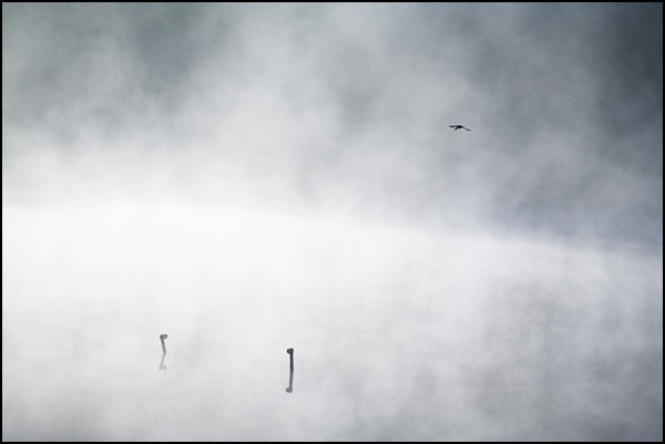 Evanescent - Gilles Deprez Evanescent - Gilles Deprez