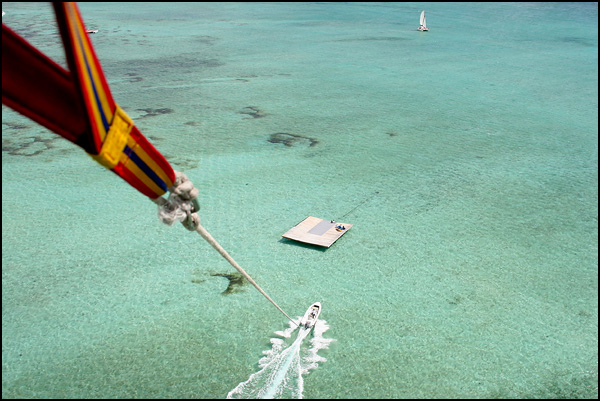 Liberté furtive - Camille Gagne Liberté furtive - Camille Gagne